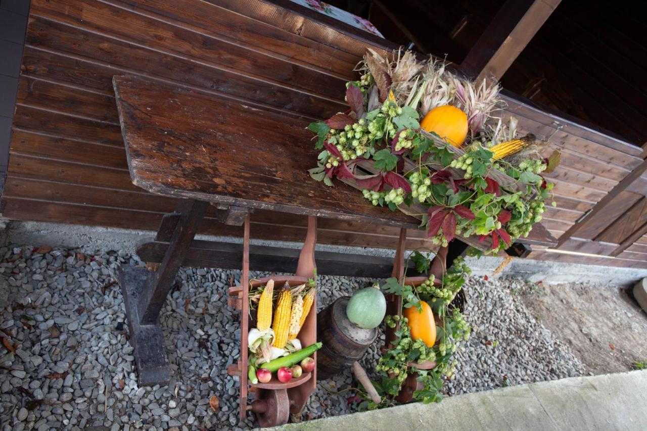 Casa De Vacanta Armi Molidu ภายนอก รูปภาพ