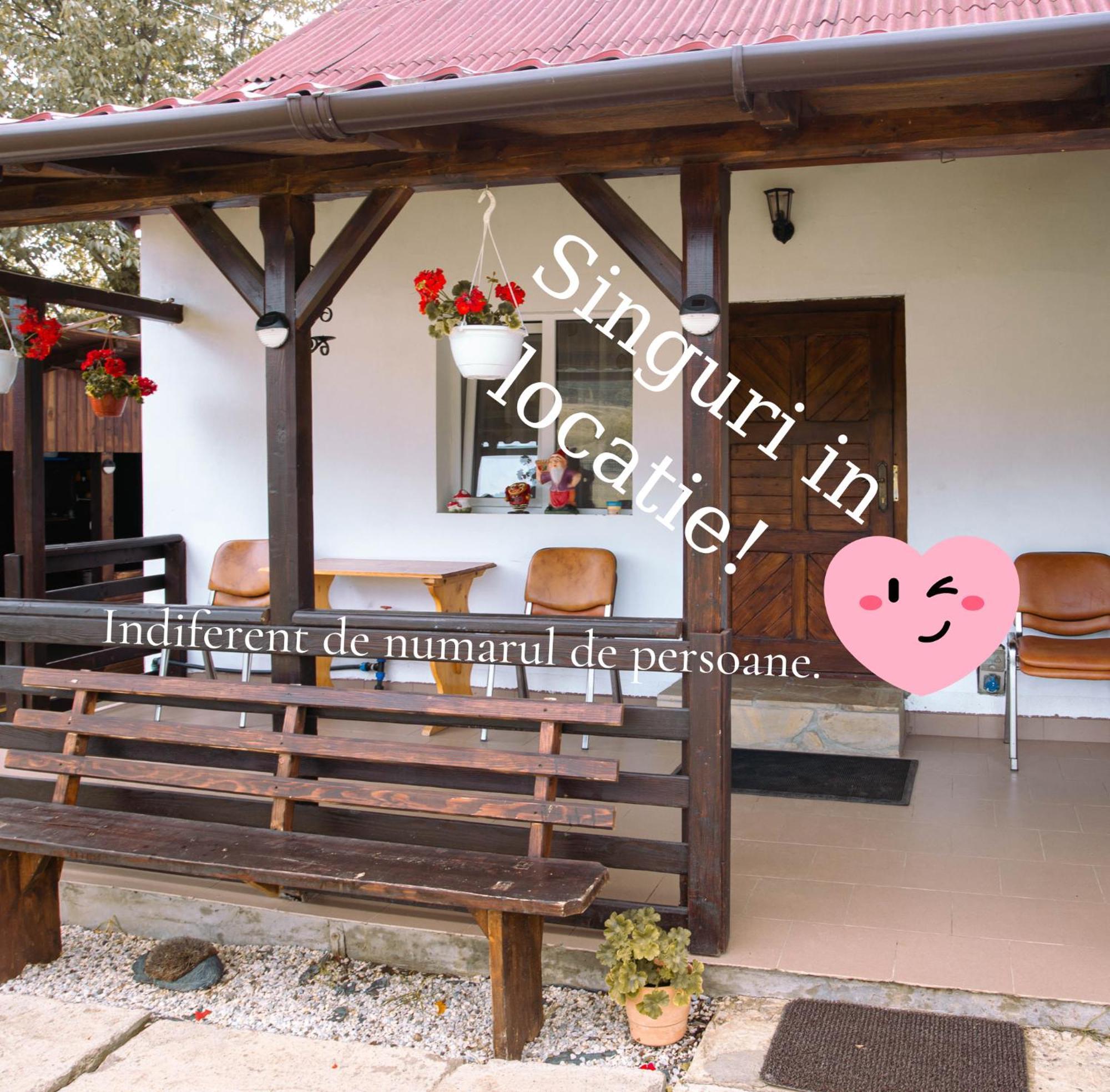 Casa De Vacanta Armi Molidu ภายนอก รูปภาพ