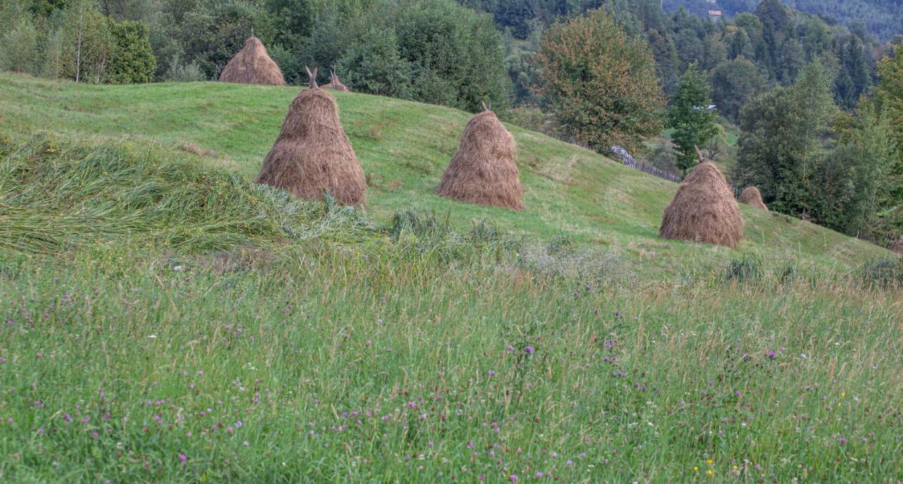 Casa De Vacanta Armi Molidu ภายนอก รูปภาพ